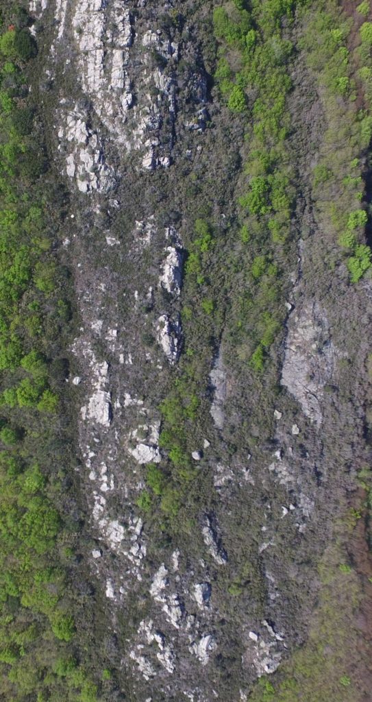 DJI_0044
