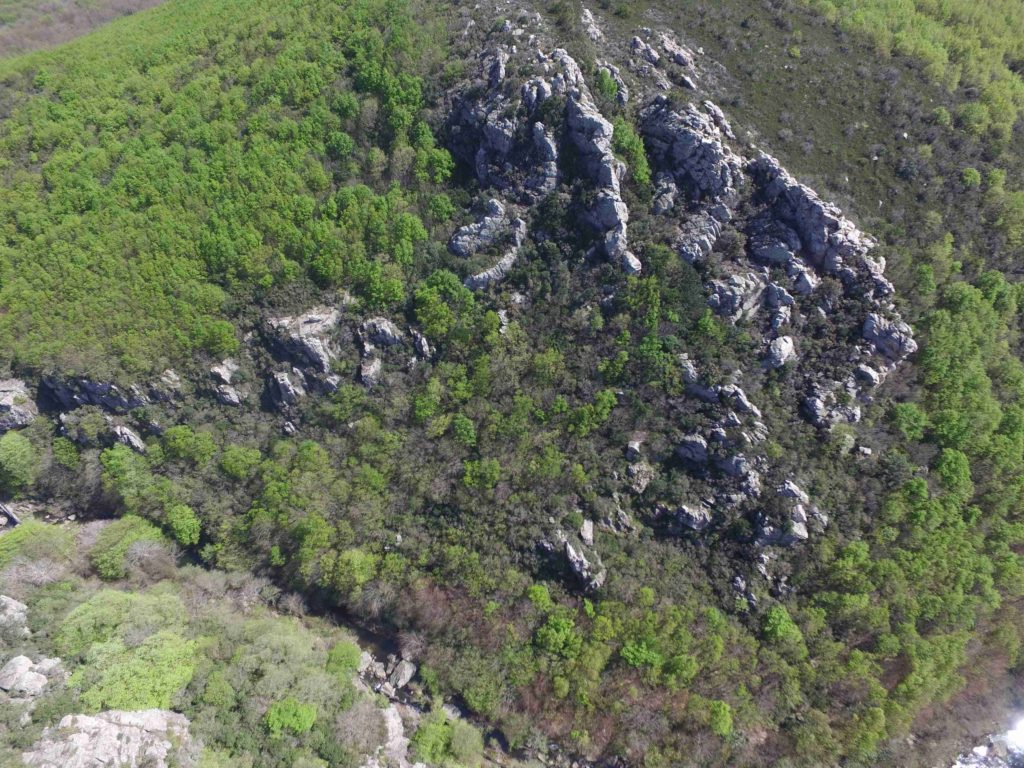 DCIM100MEDIADJI_0040.JPG